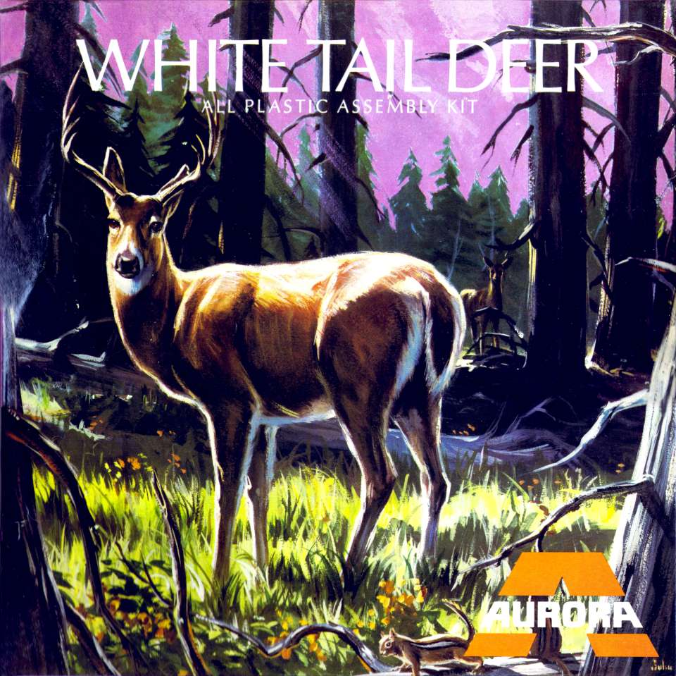 Aurora White Tail Deer Big-A