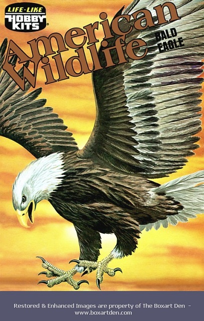 Life Like Bald Eagle