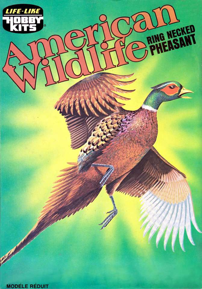 Life Like Ring Necked Pheasant