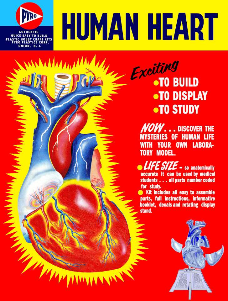 Pyro Human Heart