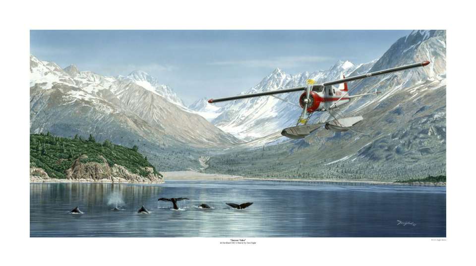 De Havilland Beaver Don Feight-960
