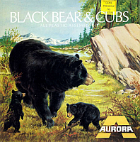Aurora Black Bear & Cubs