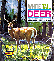 Aurora White Tail Deer