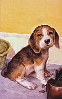 Friskie the Beagle Puppy Rev-H1902