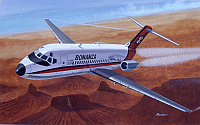 Douglas Bonanza-DC-9-960