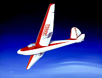 Schweizer 1-23E glider-960